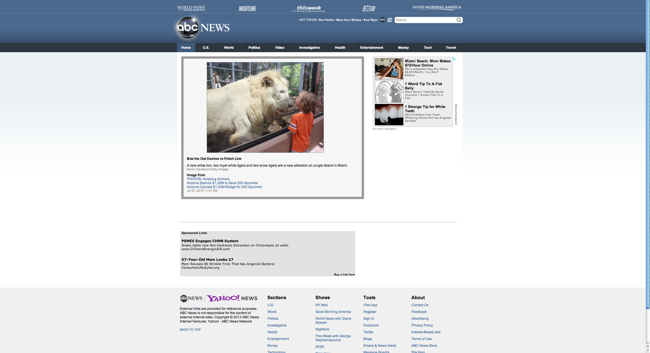 White Lion ABC News